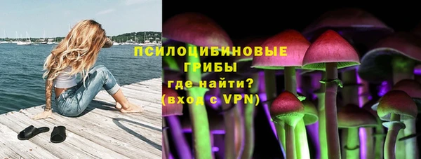 экстази Богданович